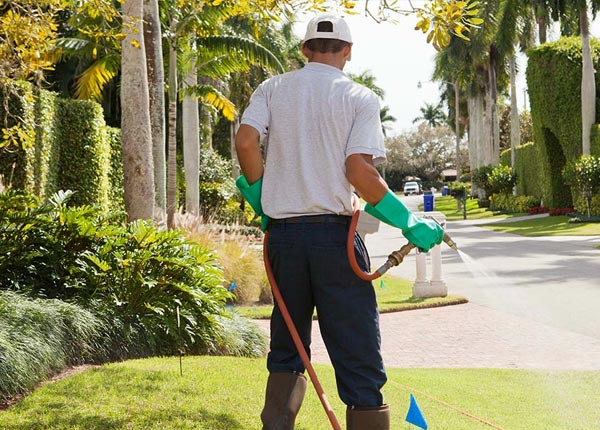 About Saint Peters PA Pest Control Pros